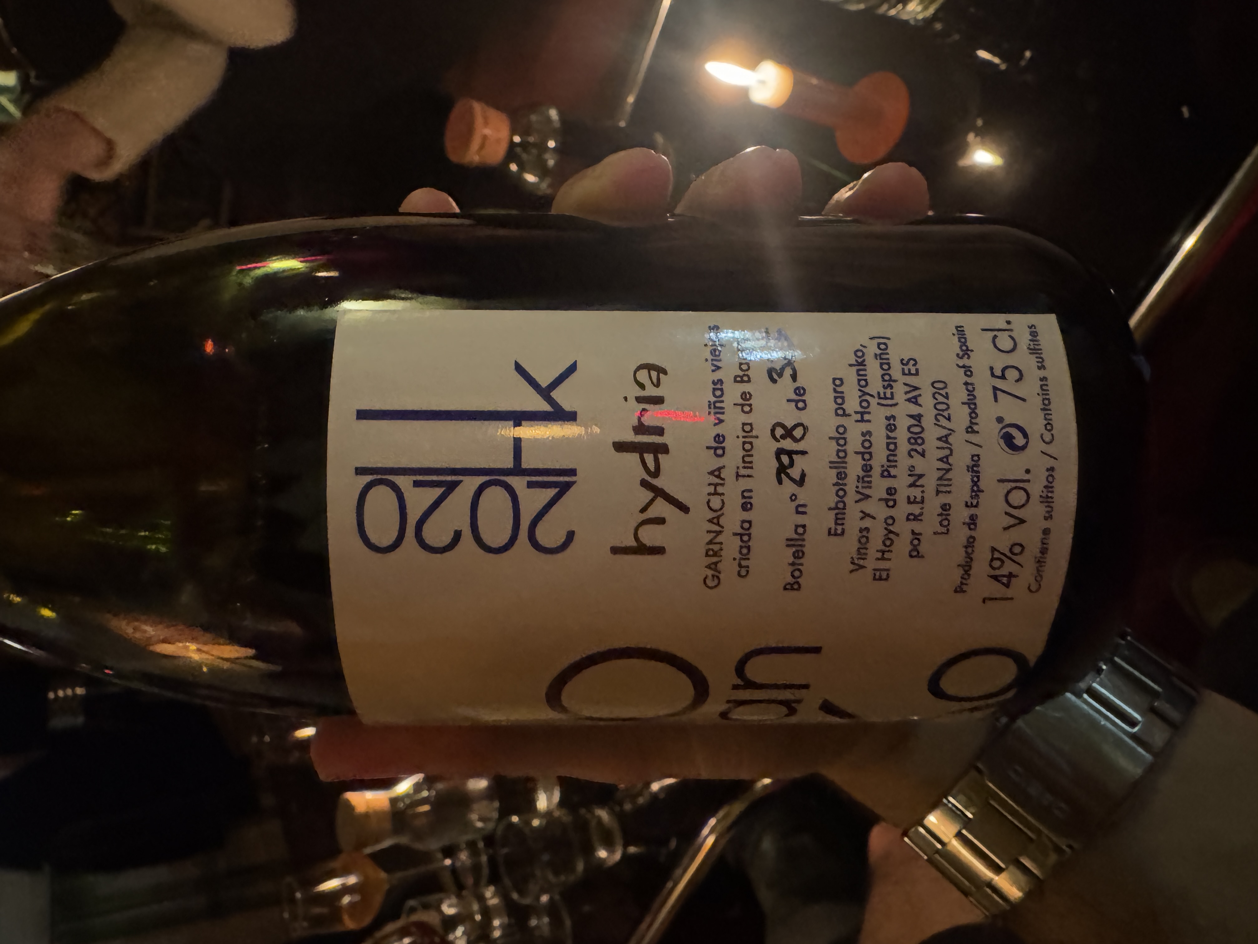 Hoyanko Hydria by joan