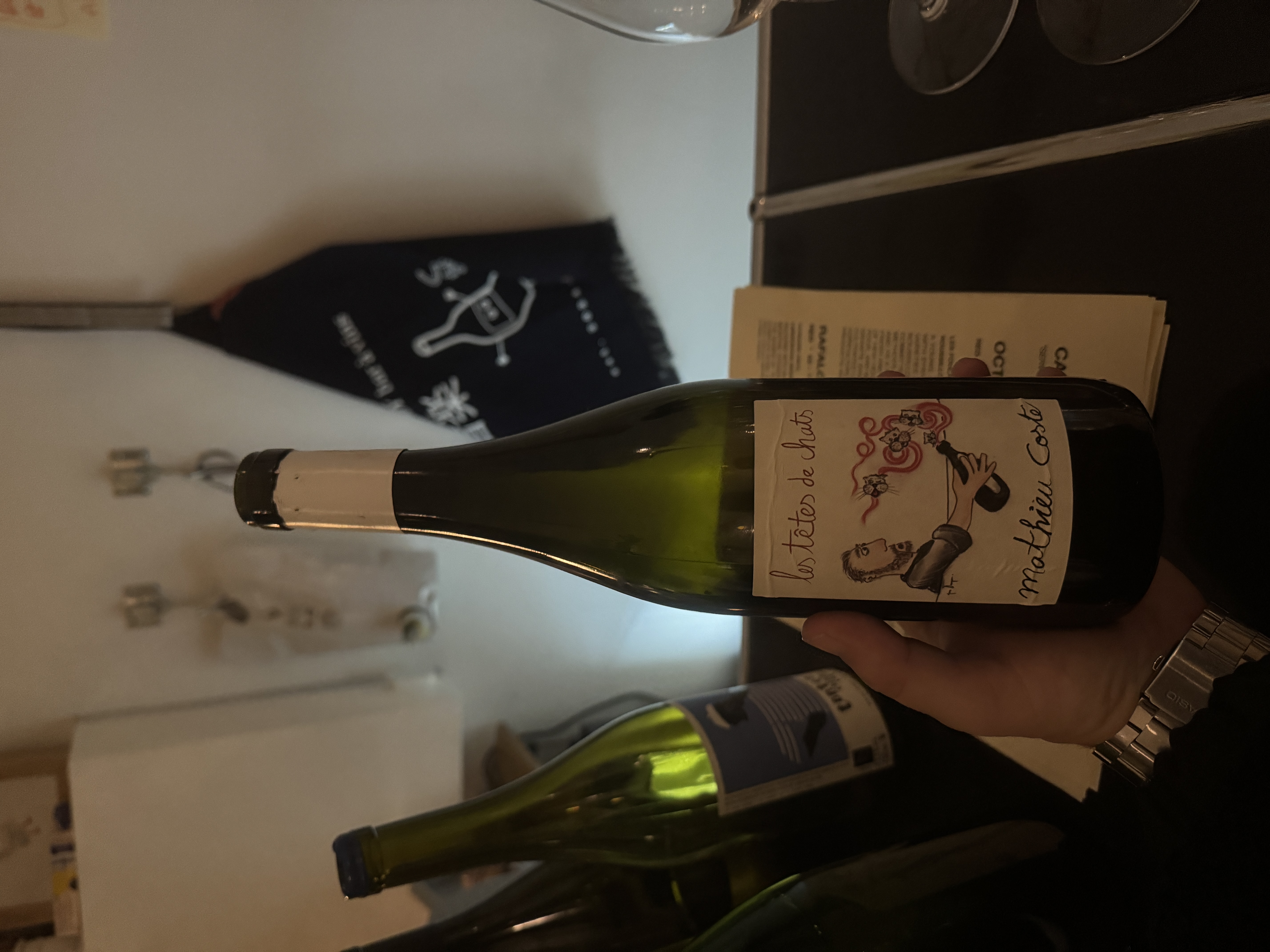 Mathieu Coste Têtes de Chats by joan