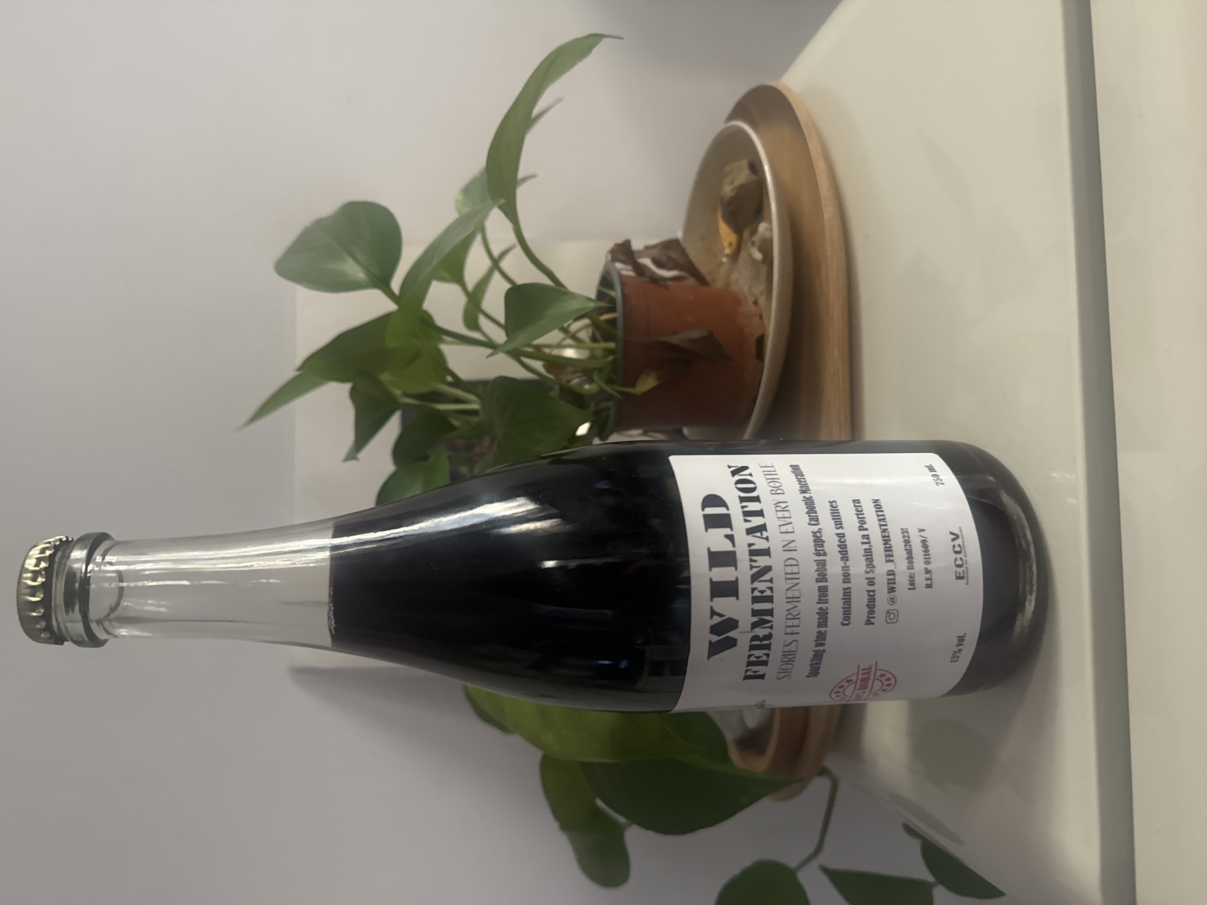 Wild Fermentation Sparkling by joan