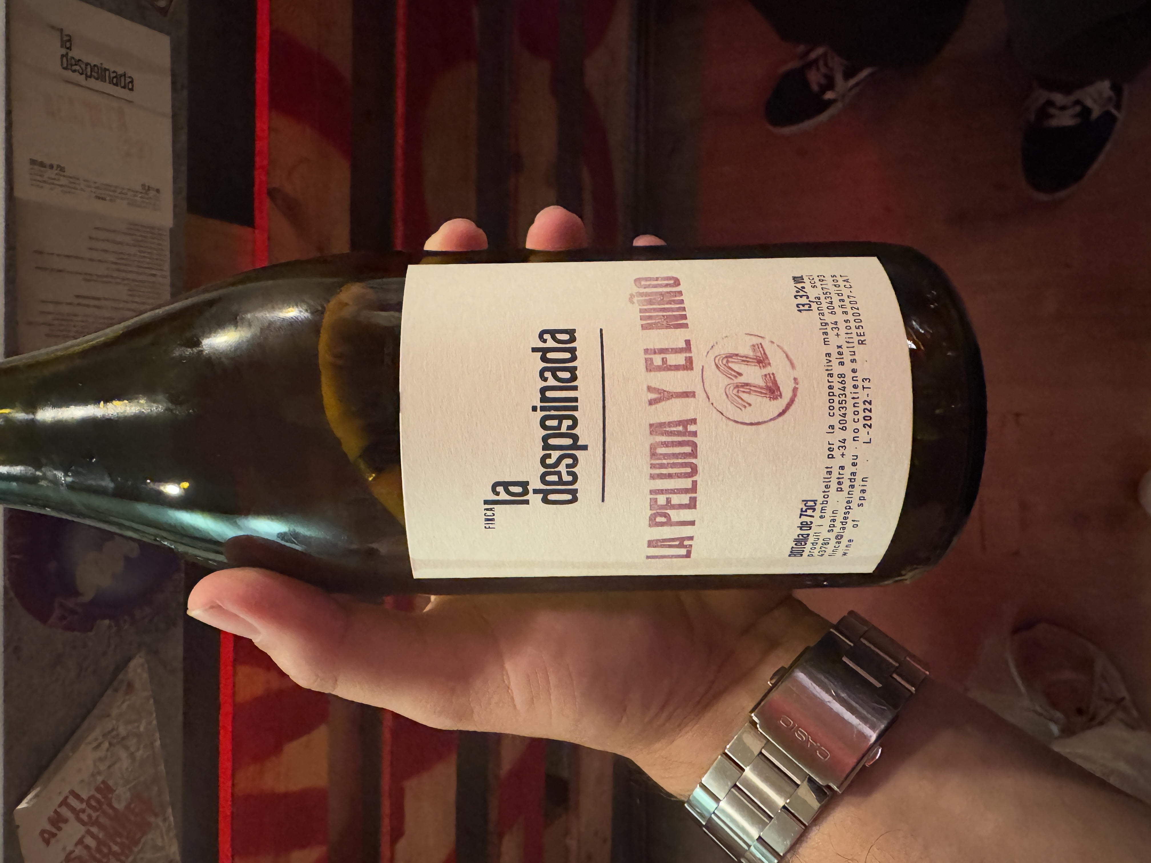 La peluda y el niño by joan