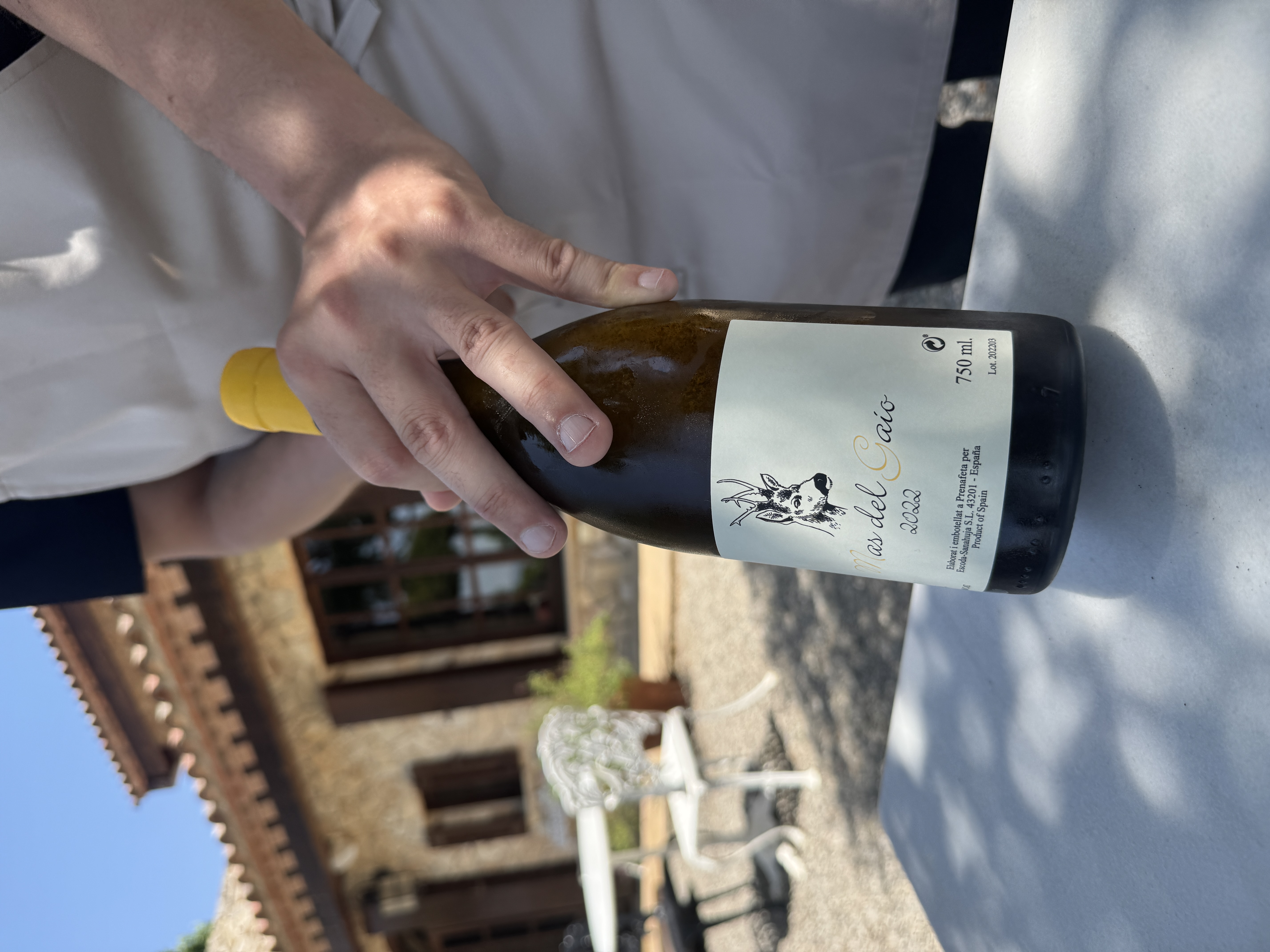 Escoda-Sanahuja Mas del Gaio by joan