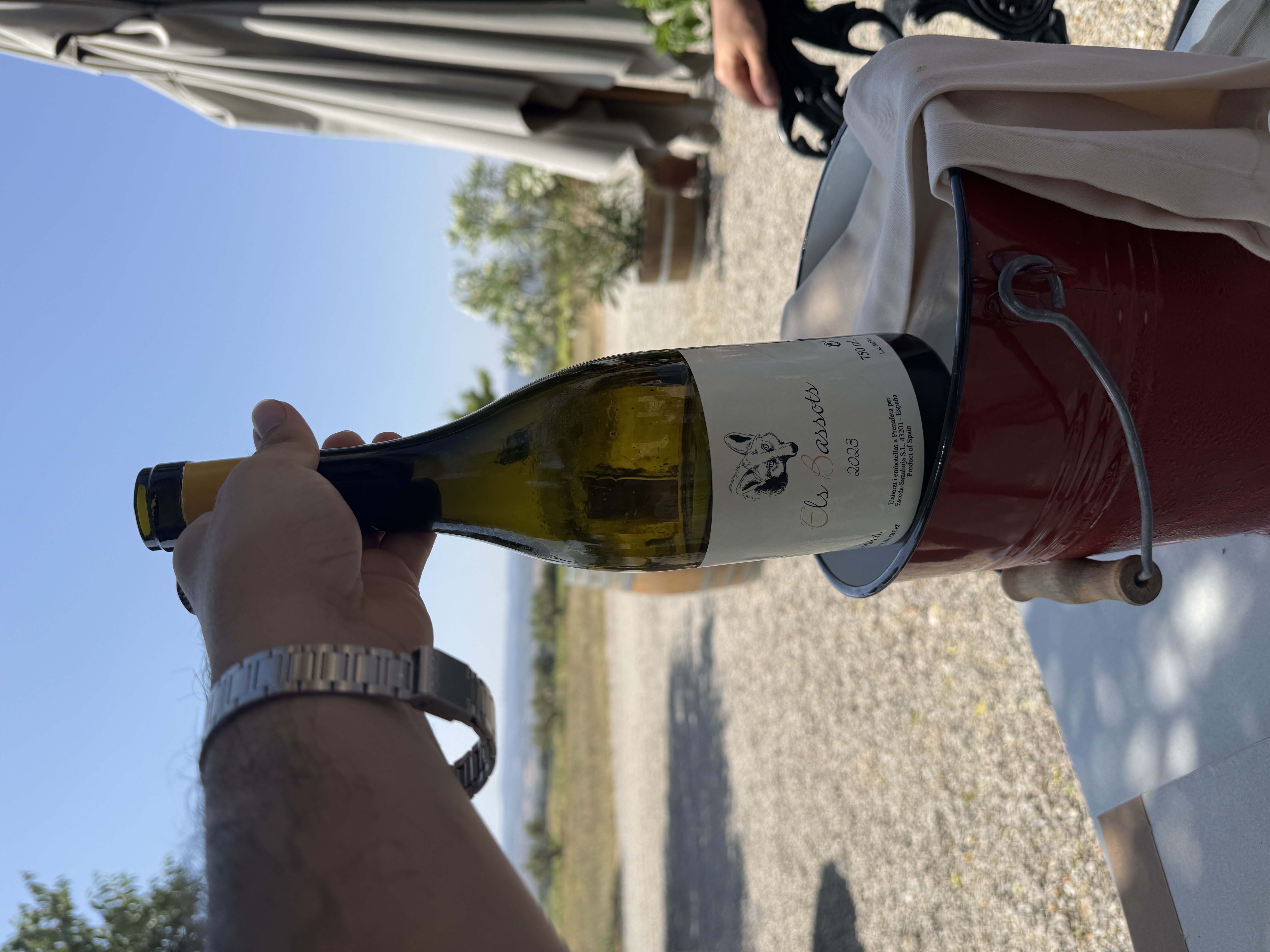 Escoda-Sanahuja Bassots by joan