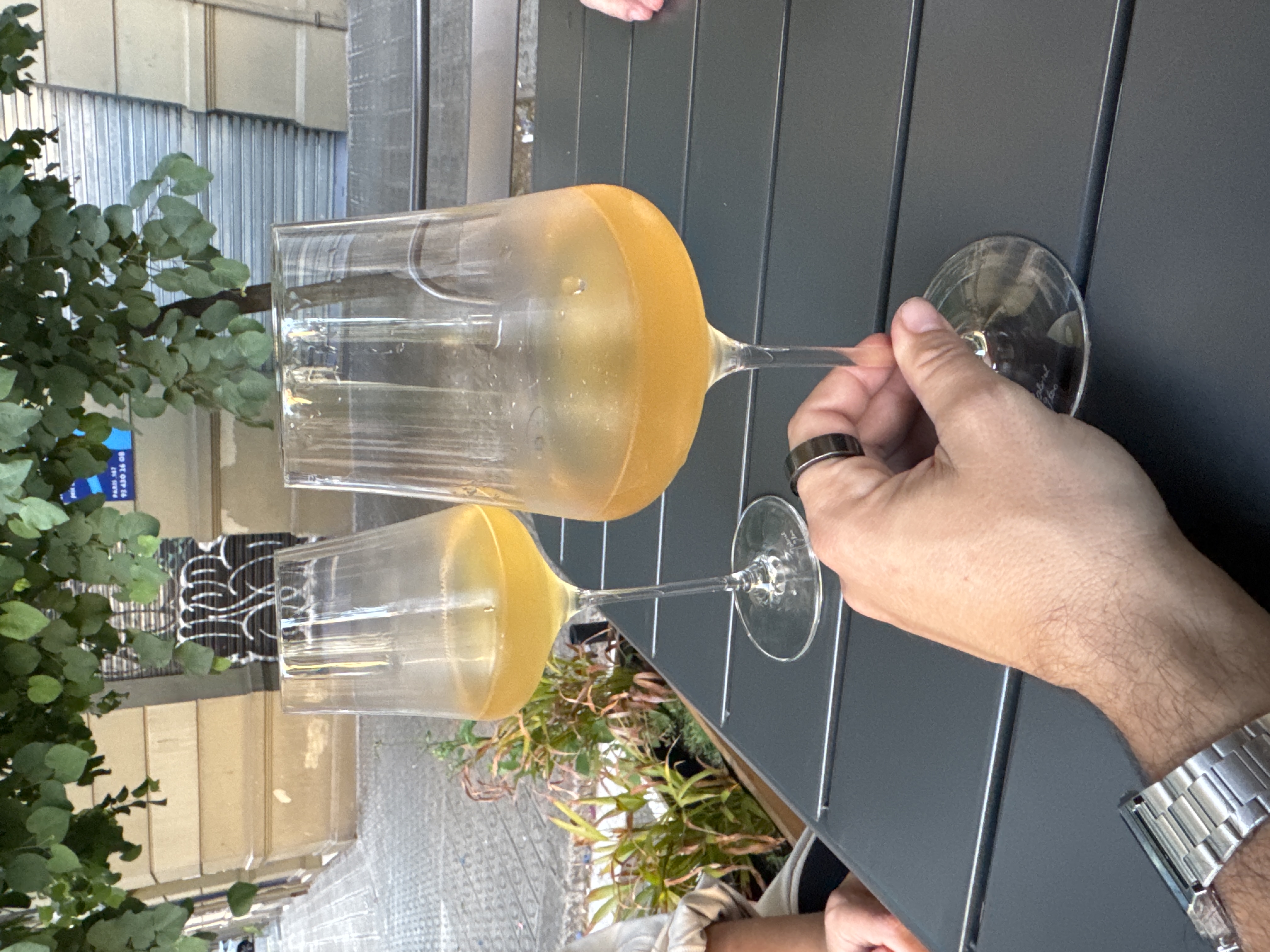 Ovella Negra by joan