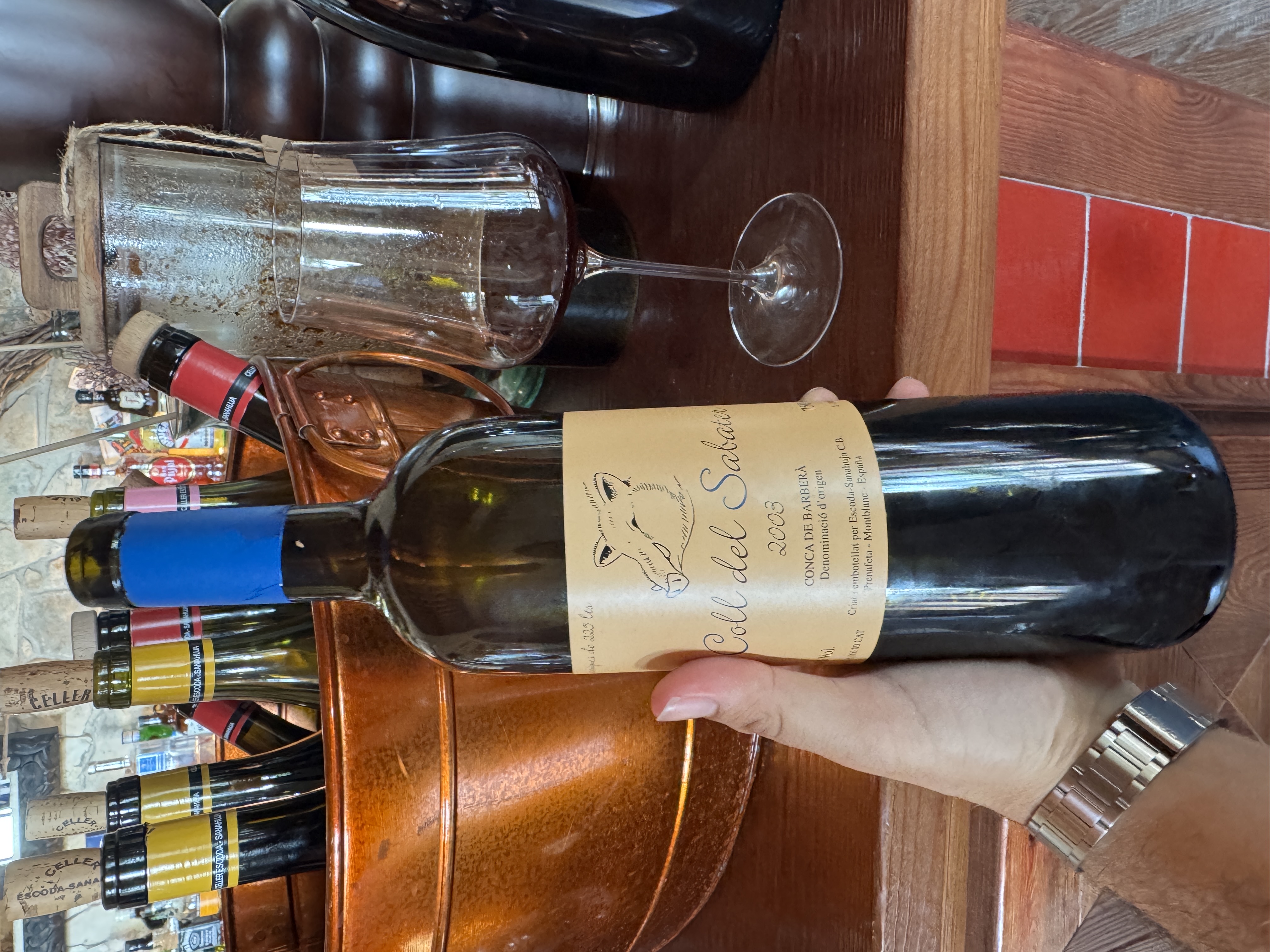 Escoda-Sanahuja Coll del Sabater by joan