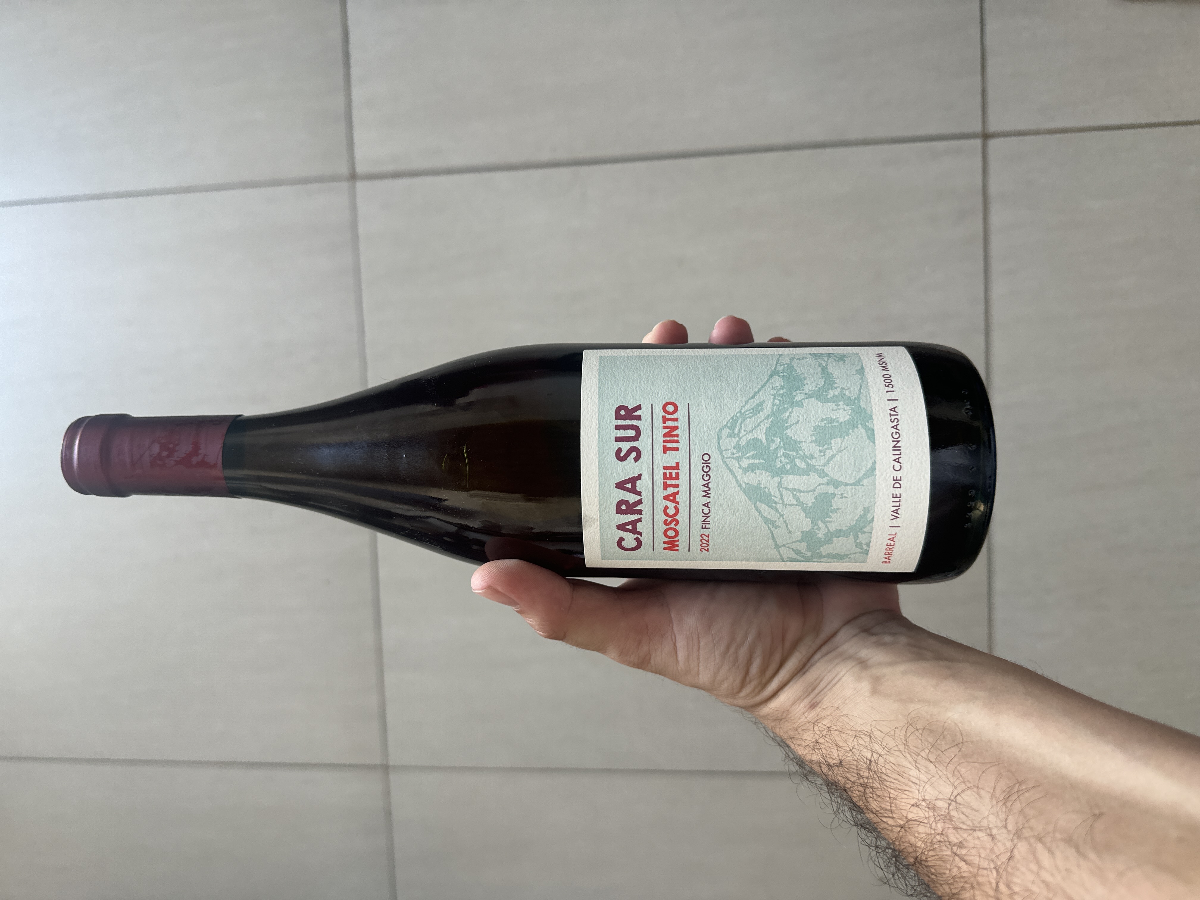 Moscatel tinto by joan