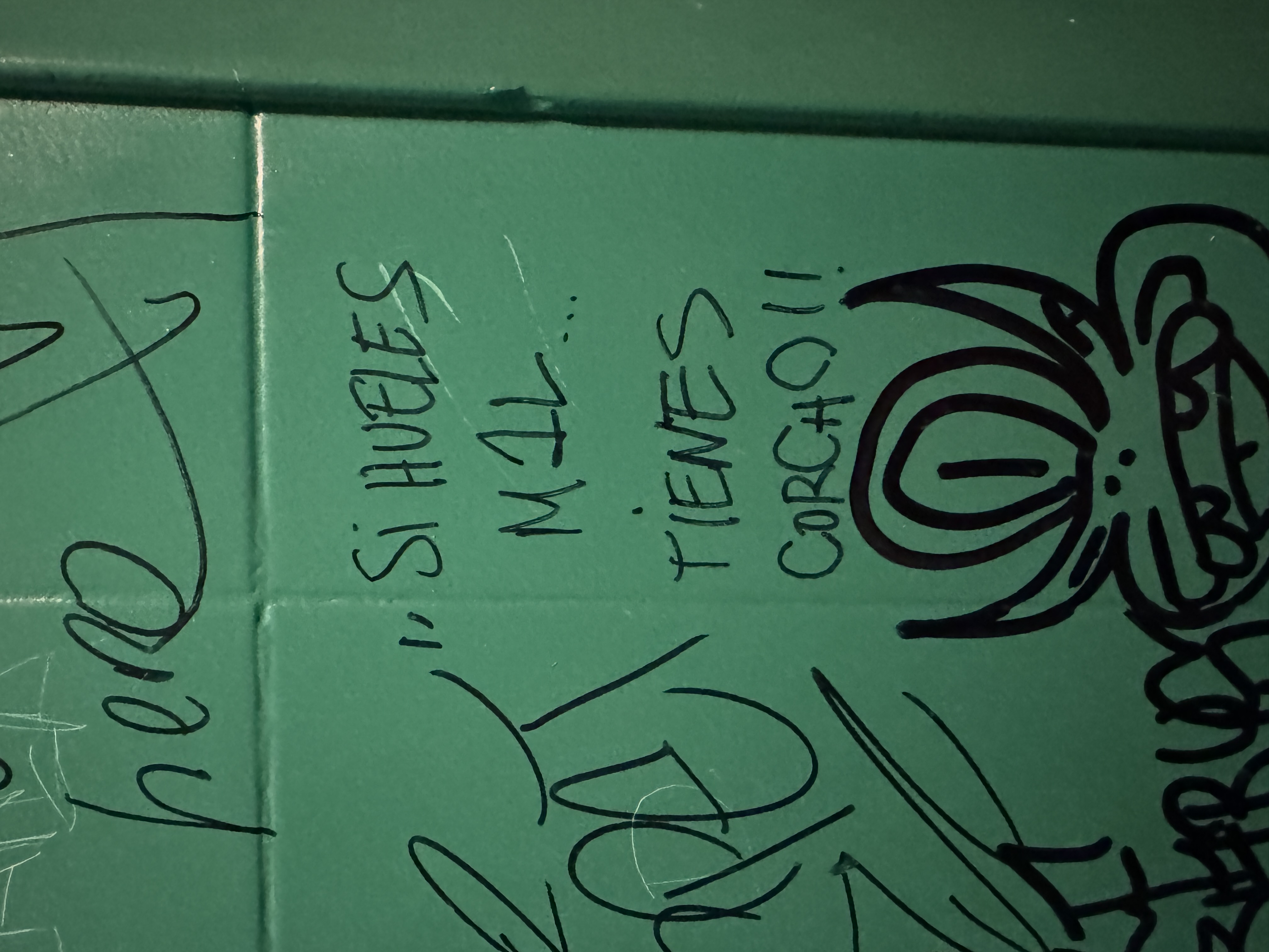 Mas Candí Baudili BLANC by joan