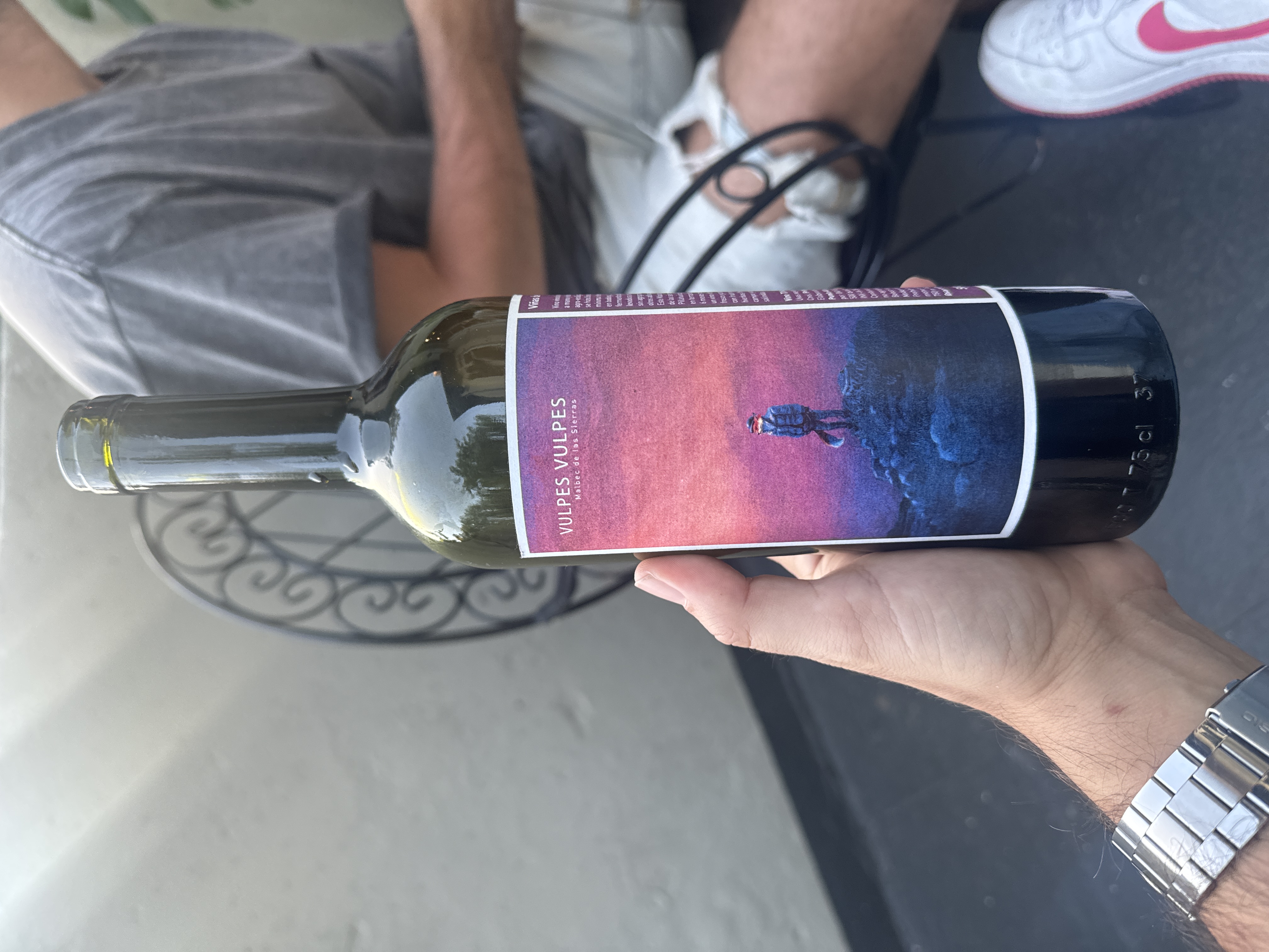 Vulpes Vulpes by joan