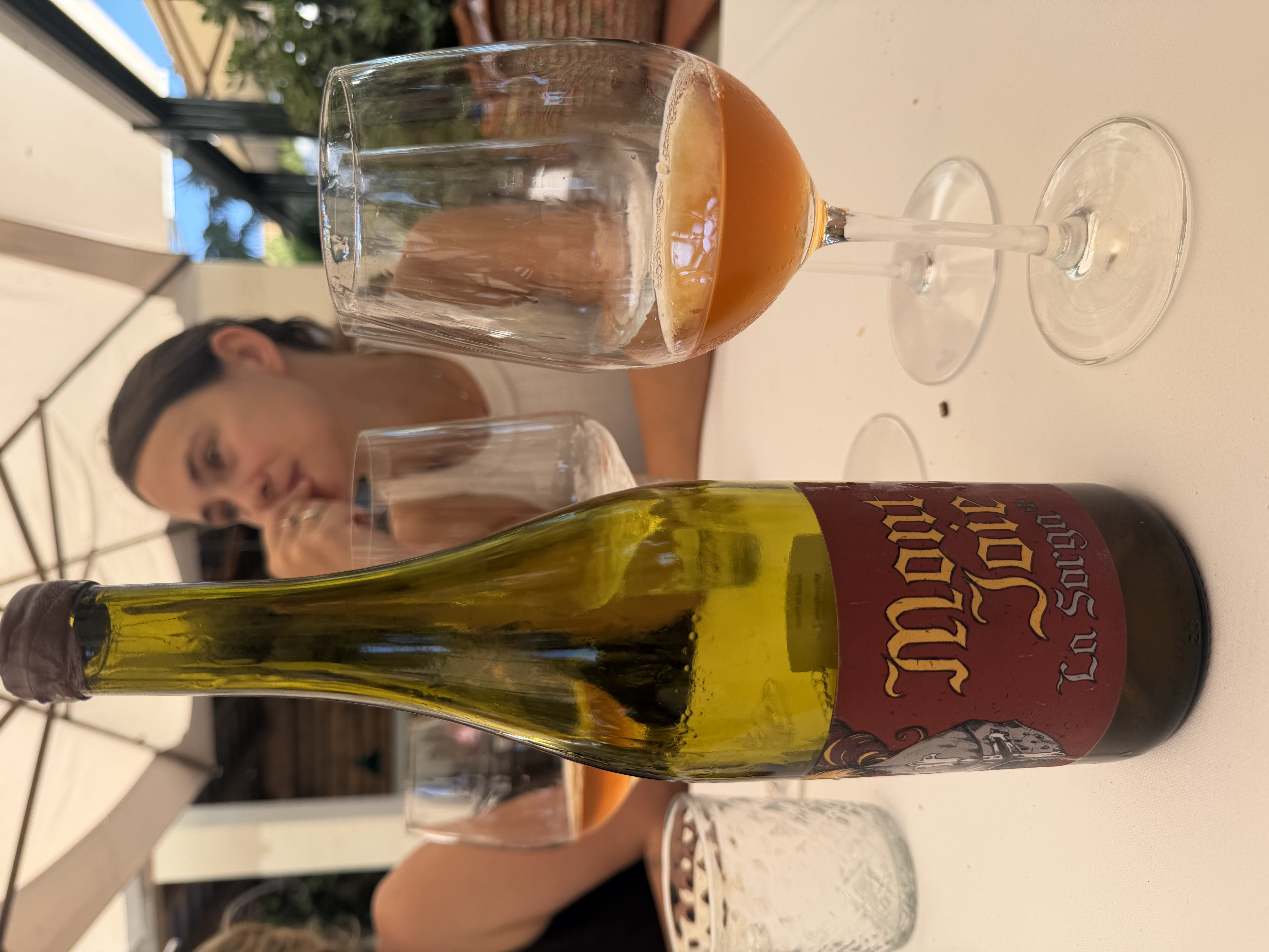 Mont Joie by joan