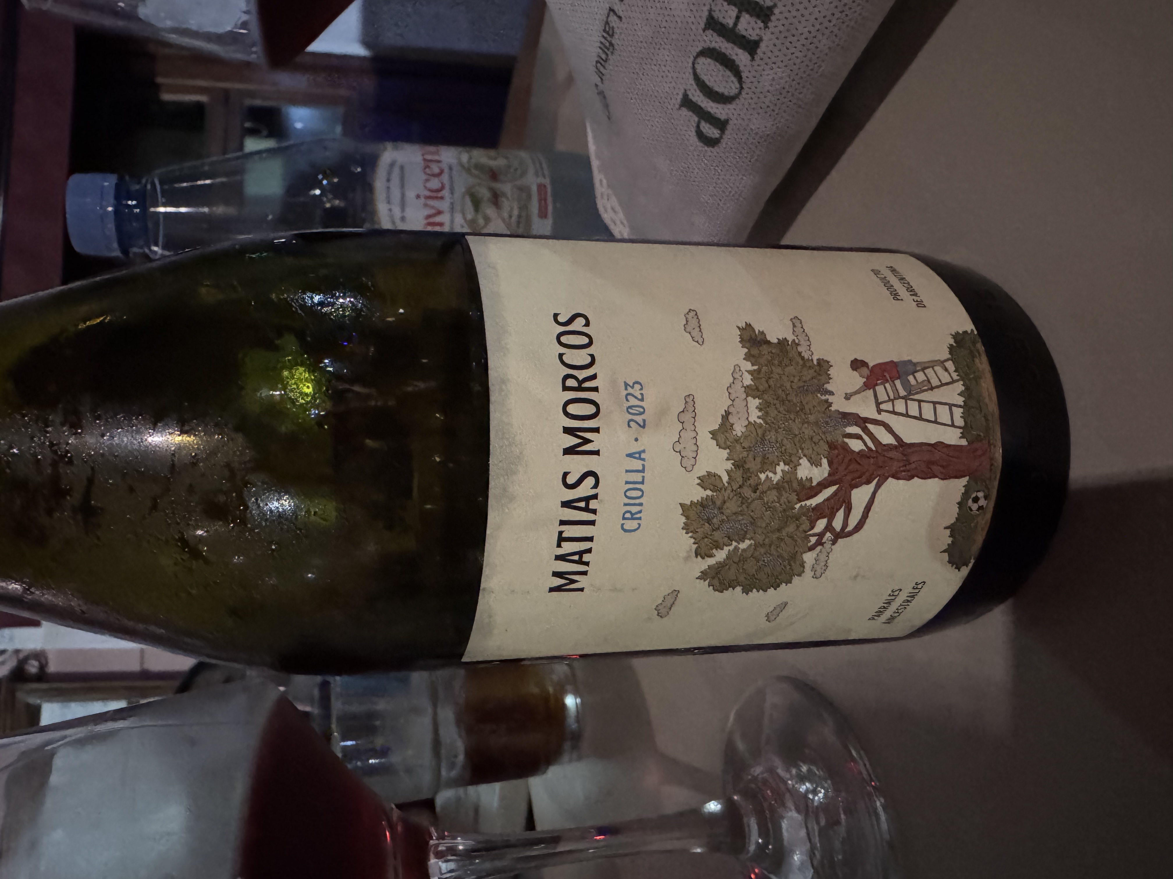 Matias Morcos Criolla Chica 2023 by facumenzella