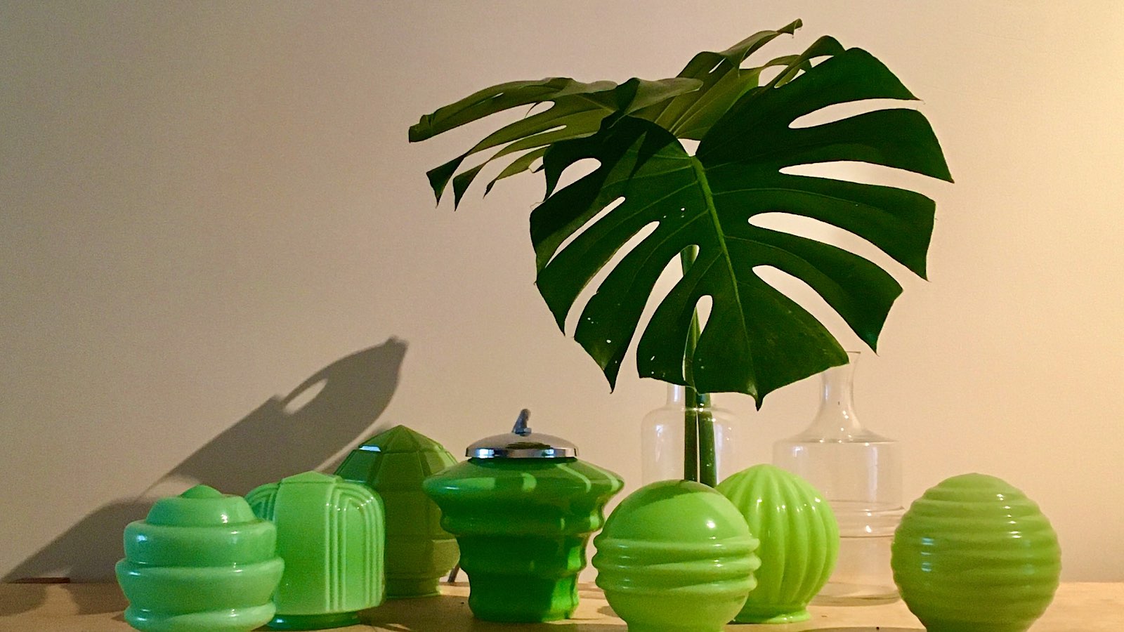 Tia Tia restaurant & natural wine bar photo 4