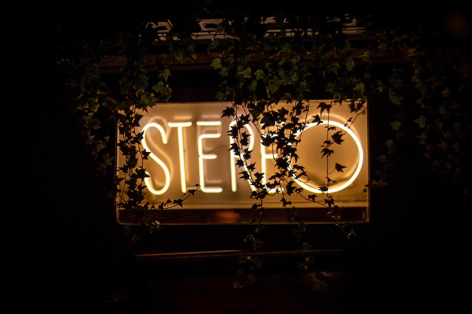 STÉRÉO photo 3