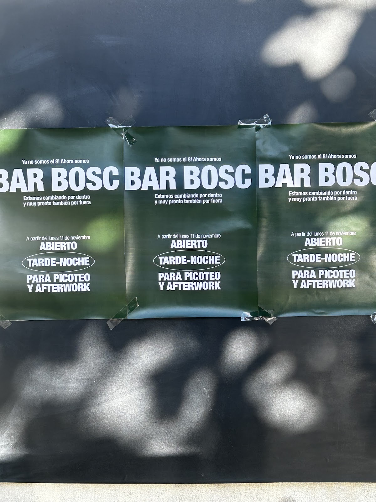 Bar Bosc Barcelona photo 2