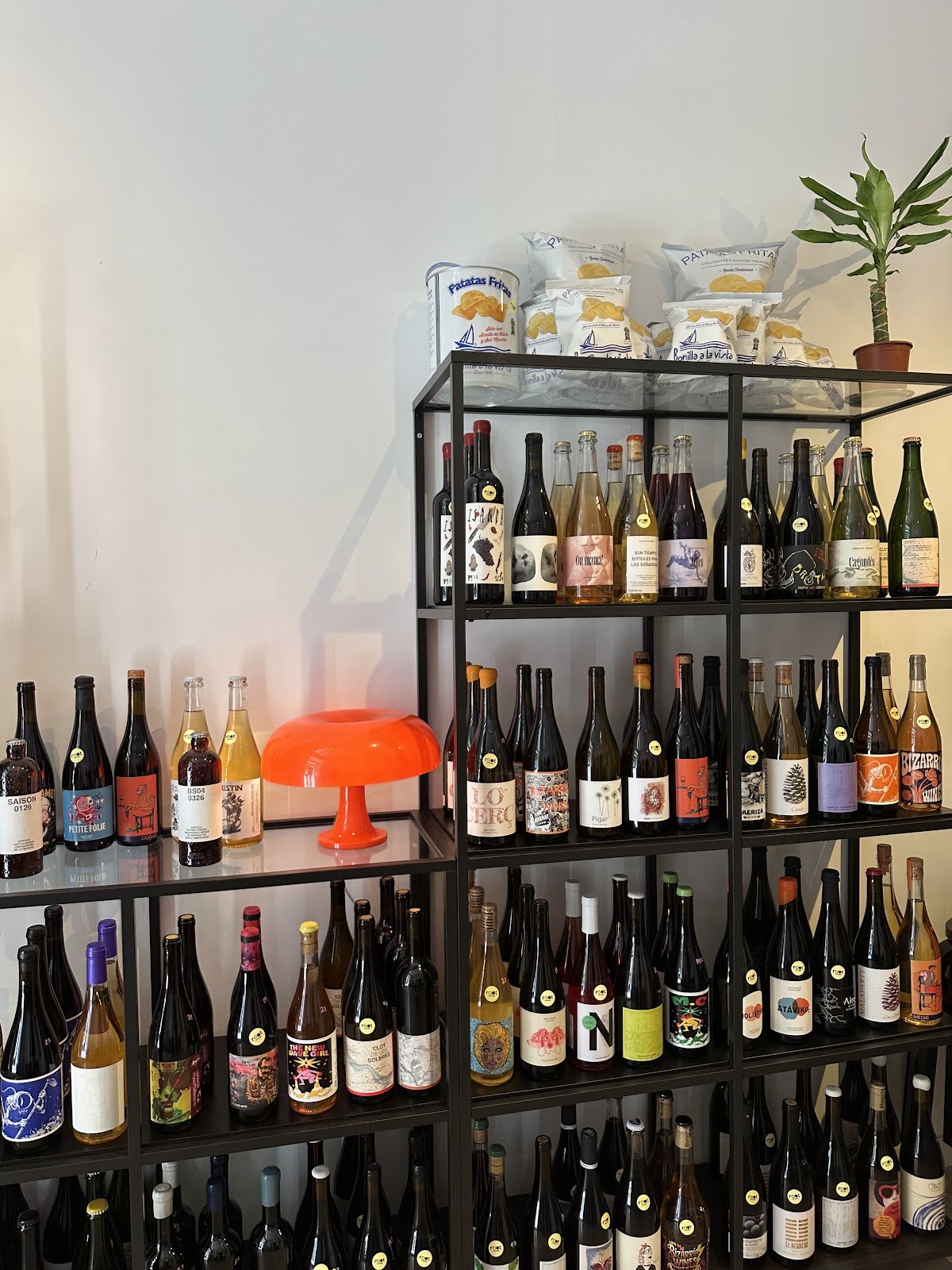 root concept - natural wine & speciality coffee photo 3