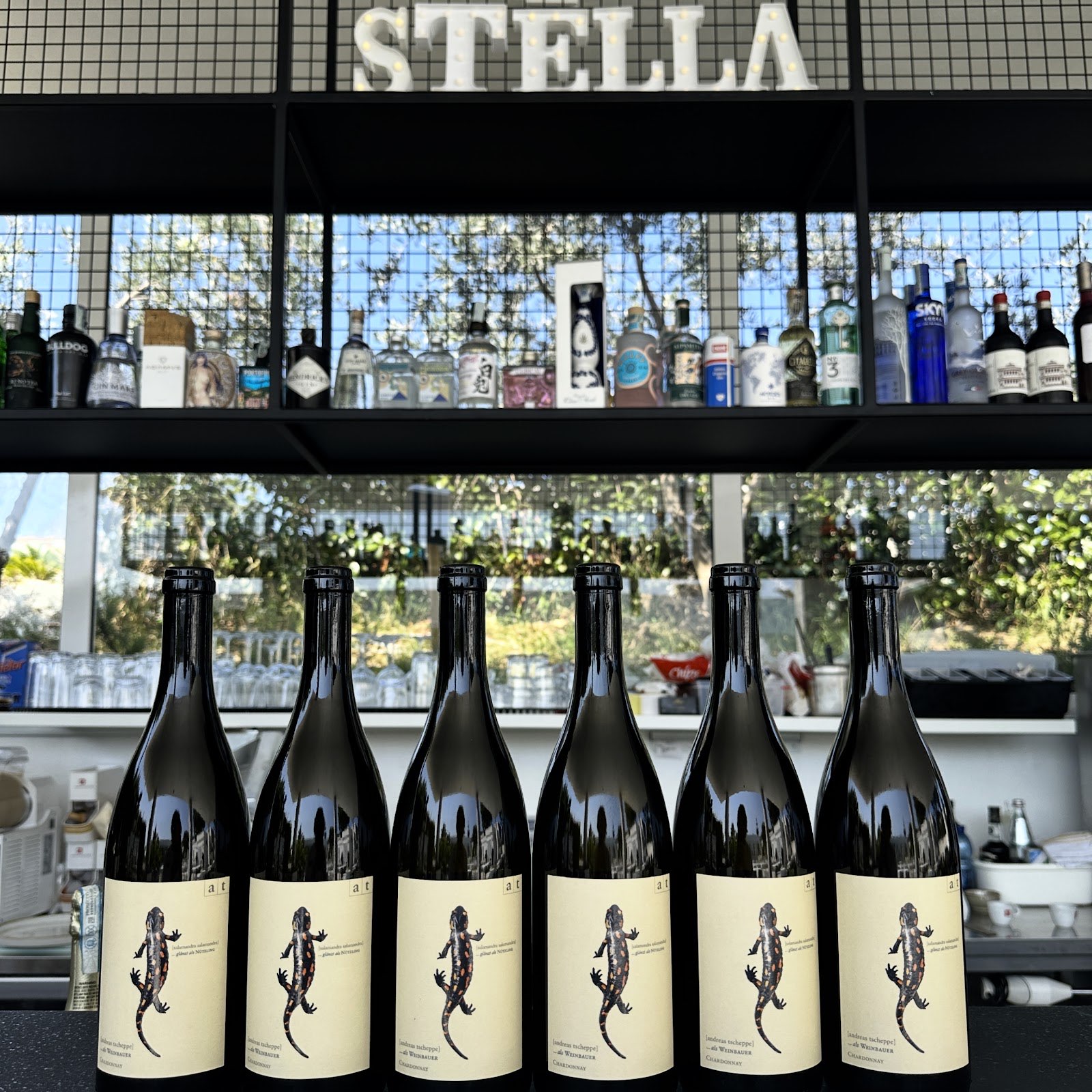 Stella Garden Bar photo 3