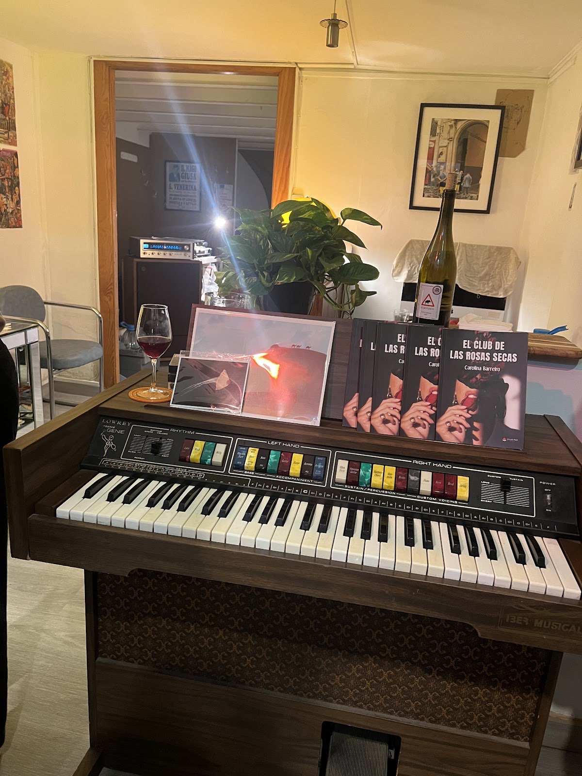 Frecuencia - vinos naturales photo 3